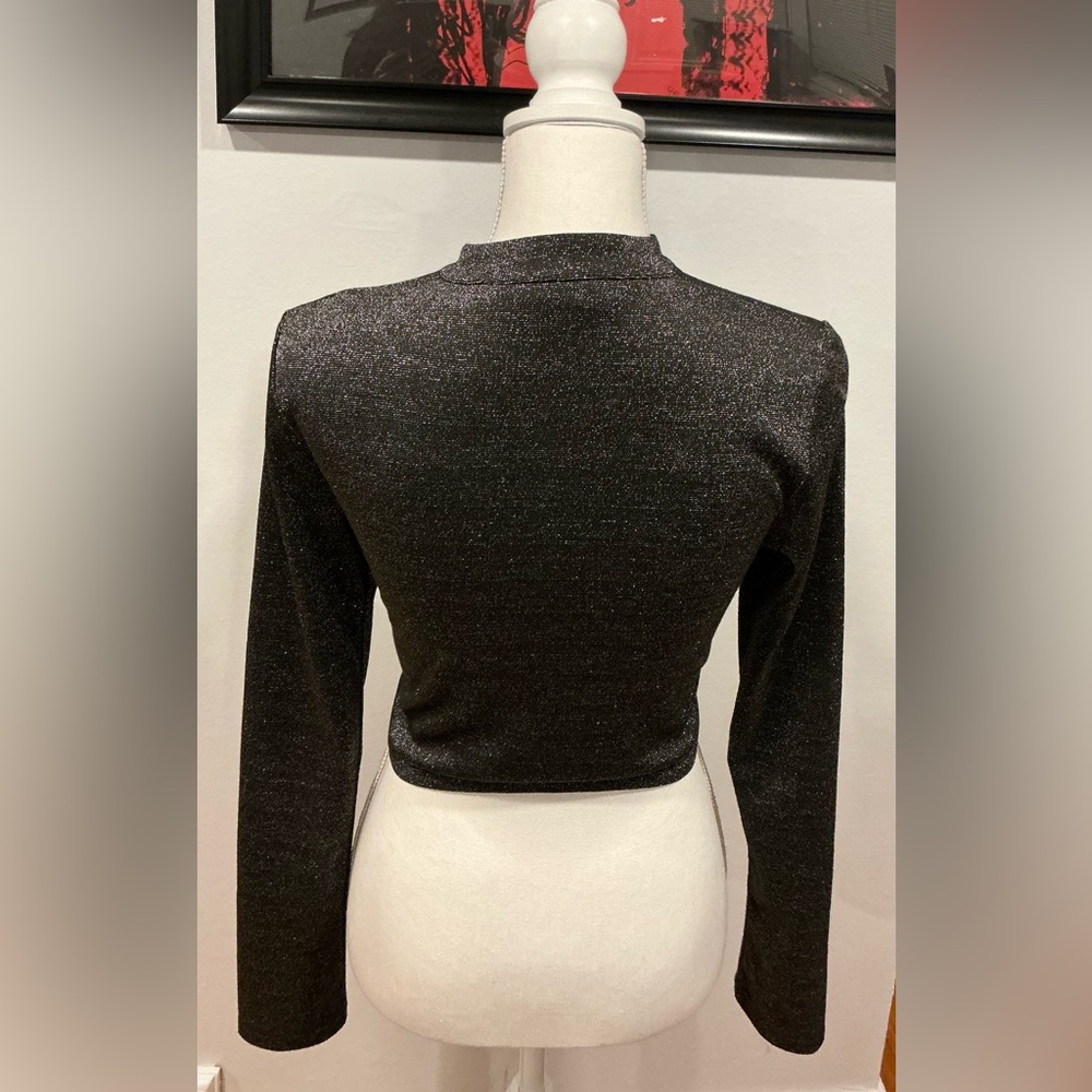 Shimmer Silver Cropped Blouse - Picture 3 of 5